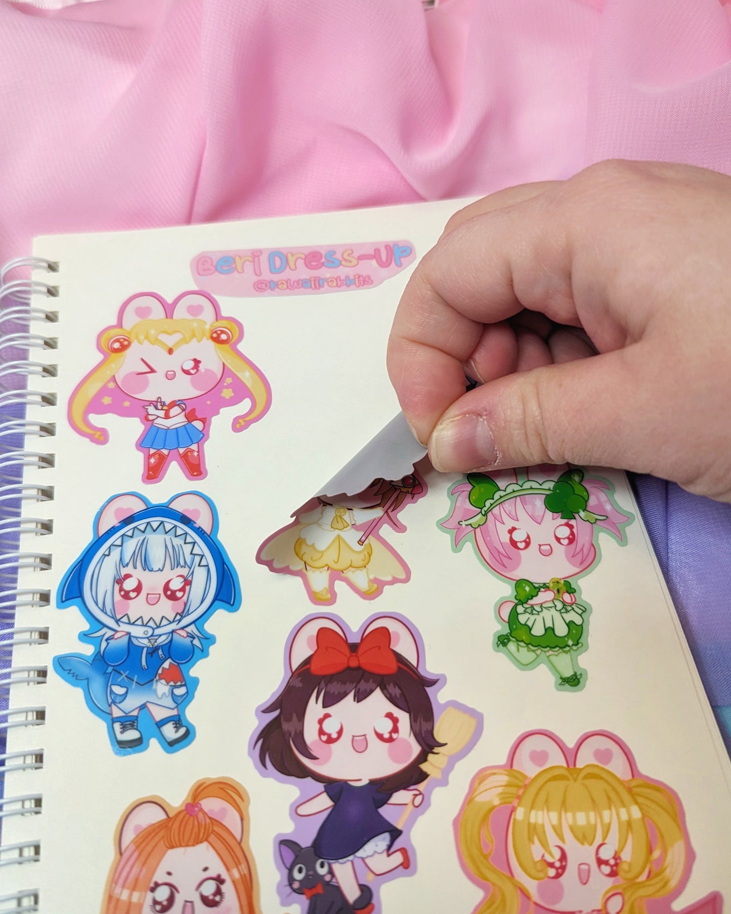 Ham-Chat Reusable Sticker Book